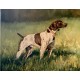 Bird Dog Oil Painting